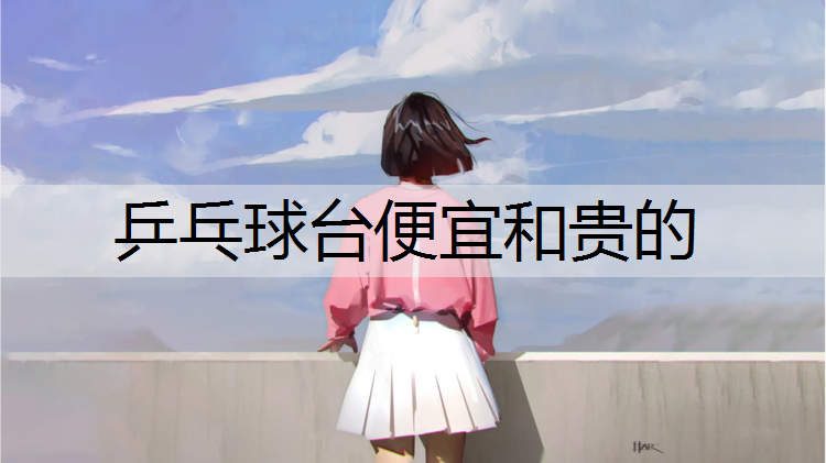 <strong>乒乓球臺便宜和貴的</strong>