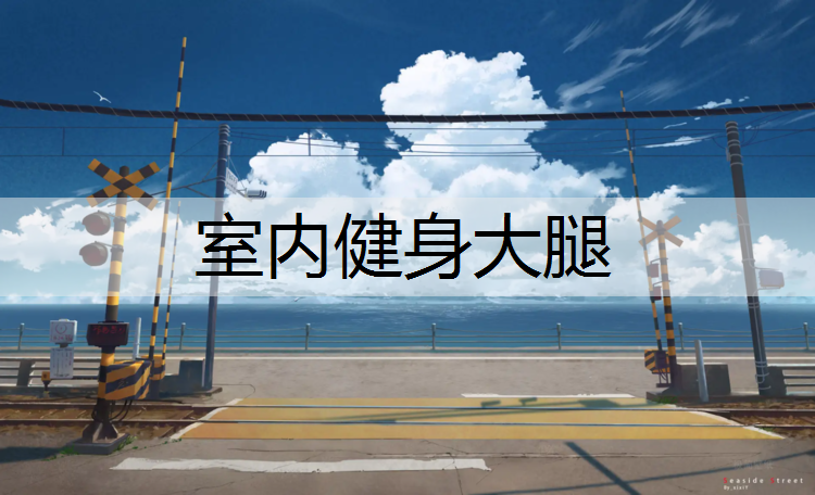 <strong>室內健身大腿</strong>