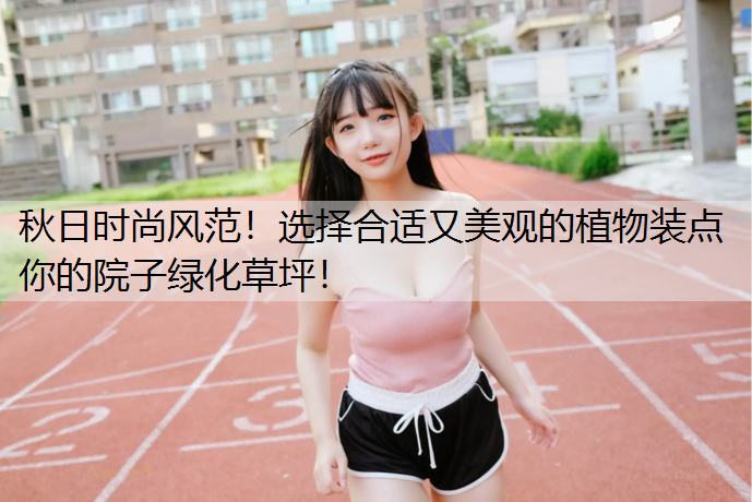秋日時(shí)尚風(fēng)范！選擇合適又美觀的植物裝點(diǎn)你的院子綠化草坪！