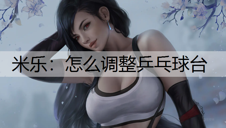 米樂：怎么調(diào)整乒乓球臺