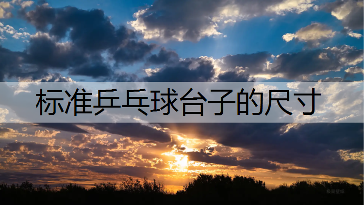 <strong>標準乒乓球臺子的尺寸</strong>