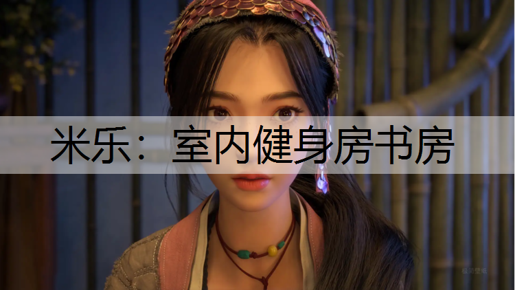 室內(nèi)健身房書房