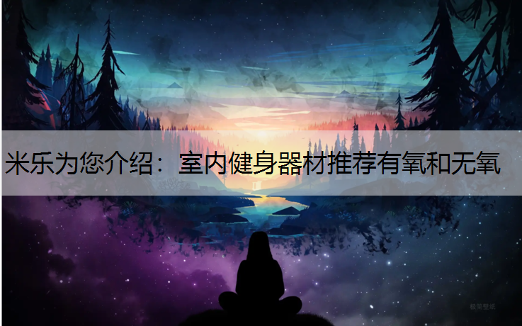 室內健身器材推薦有氧和無氧