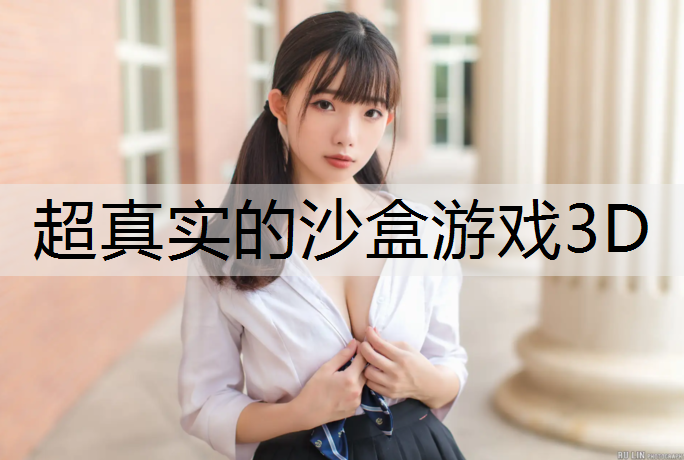 超真實的沙盒游戲3D