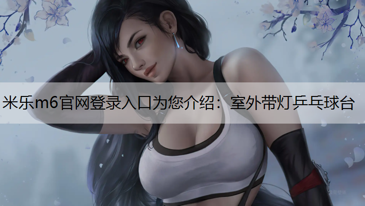室外帶燈乒乓球臺(tái)