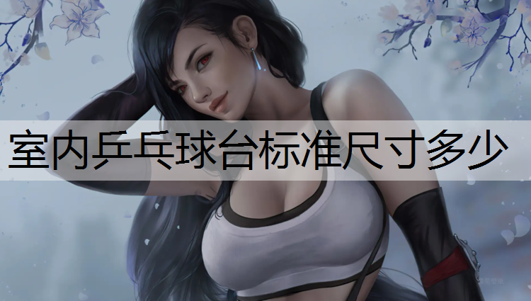 室內乒乓球臺標準尺寸多少