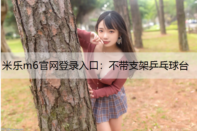 不帶支架乒乓球臺